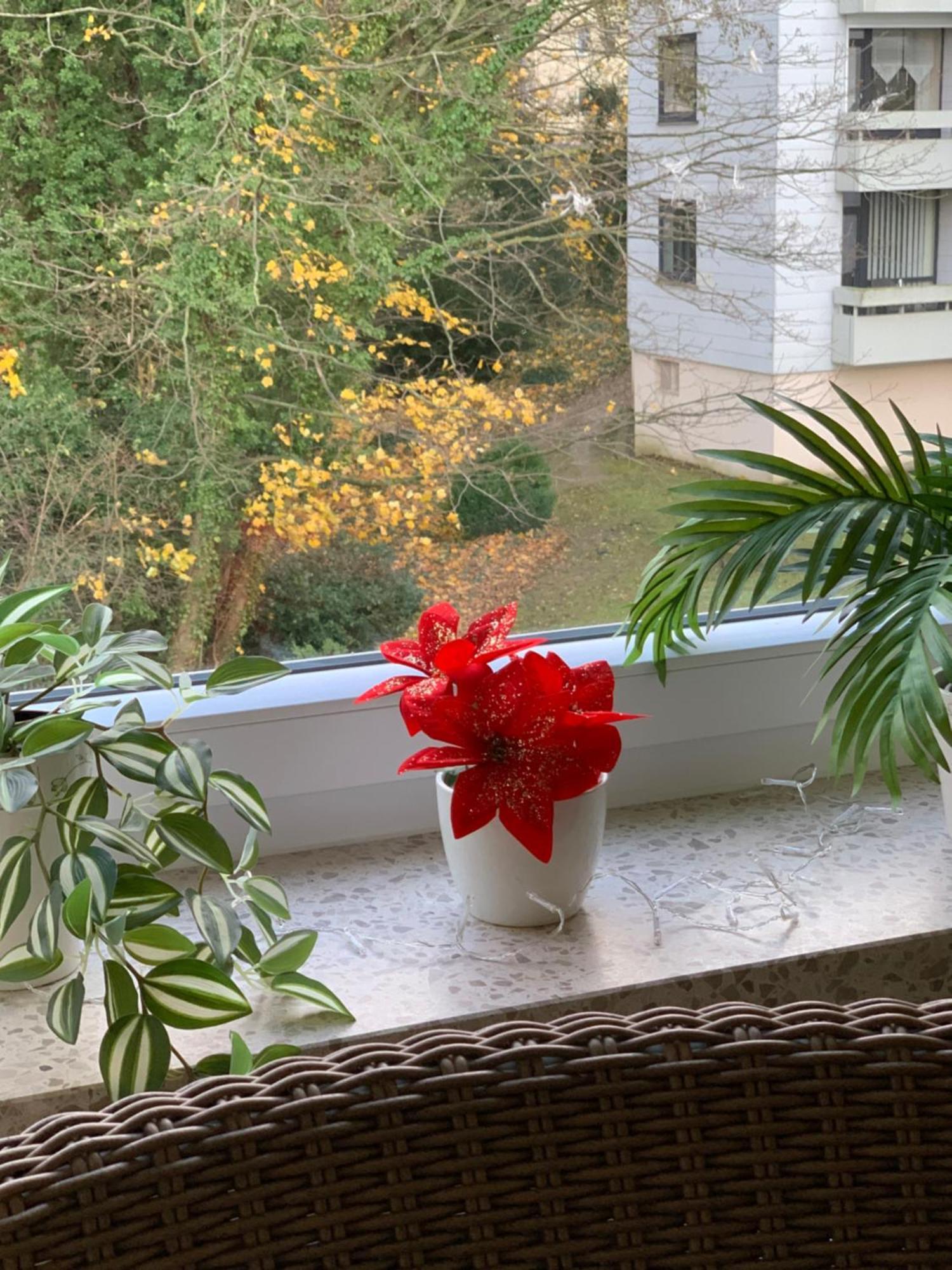 Ferienwohnung Doretta Bad Harzburg Luaran gambar